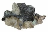 Black Tourmaline (Schorl), Fluorite & Smoky Quartz - Namibia #90684-1